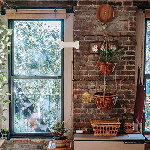 ARTIBETTER Dog Bone Wood Sign Blank Wooden Plaque Unfinished Wood DIY Crafts Hanging Sign for Puppy Pet House Door Wall Decoration 20pcs ARTIBETTER