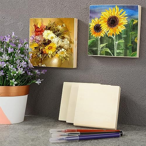 9 Pack Wood Canvas Boards Wood Panel Boards Unfinished Wood Canvas Panels Square Wood Panels Wooden Panels, Blank Wooden Canvas for Painting, Voittozege