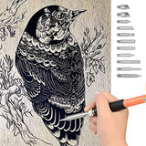 ACRSIKR Wood Burning Kit, WoodBurning Tool Adjustable Temperature 200~450 ℃ Pyrography Kit for Adults Kids Beginners (Bue) ACRSIKR