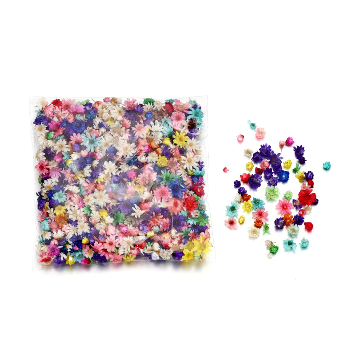 AGCFABS 1 Box Real Dried Flower Resin Mold Fillings UV Expoxy Flower Natural Little Star Flower Head Crystal Epoxy Filler for Epoxy Resin Molds AGCFABS