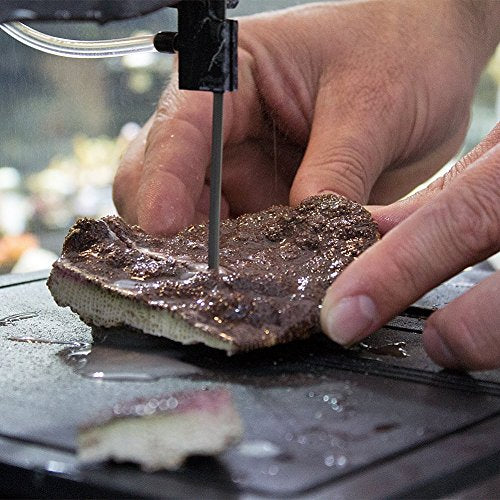 Inland Craft DB-100 Tabletop Band Saw Machine | Wet Saw Glass Stone Plastic Coral | Includes Diamond Band Saw Blade Inland Craft