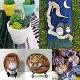 Markdang Rocks for Painting 10 Pcs 3-4” Large River Rock for Paint Natural Flat & Smooth Stones for Painting for Kids & Adult Craft Gift Markdang