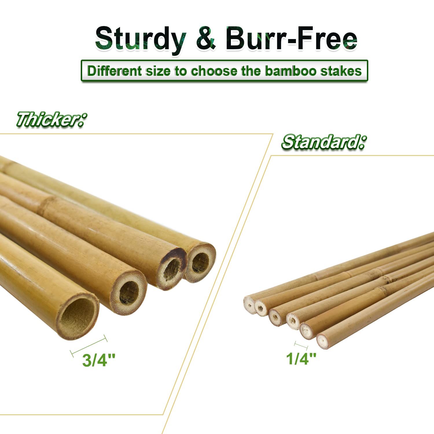 Jollybower 15pcs 3/4" D Thicker Heavy Duty Bamboo Stakes, 7FT Plant Stakes, Natural Garden Stakes for Tomato, Bean, Flowers,Trees Potted and Climbing Jollybower