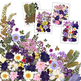 Resiners 100Pcs Dried Pressed Flowers for Resin Molds, Purple Real Pressed Flowers Dry Leaves Kit for Art Crafts Resin Jewelry Making Scrapbook Resiners