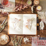 Real Dried Flowers, Natural Dry Flowers Mixed Natural Pressed Flowers Flores Secas Dried Florals for Crafts,Resin,Candle Making (Pink and White) auroray