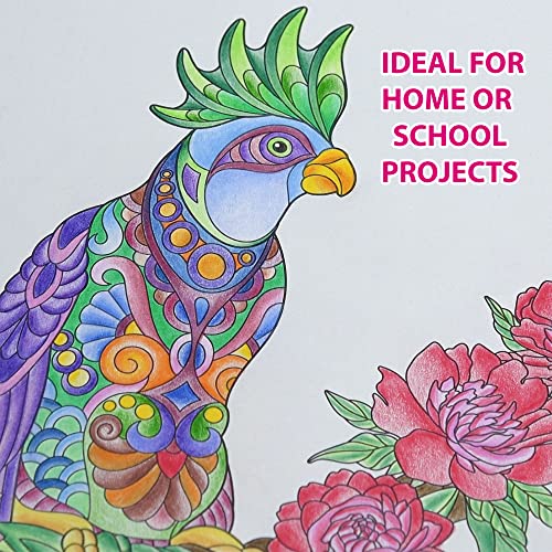 Marvin's Magic - Colouring Book & Sketch Pad Bundle - Animal Colouring Book - 36 Pages - Colouring Books for Children - Adult Colouring Books Marvin's Magic