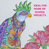 Marvin's Magic - Colouring Book & Sketch Pad Bundle - Animal Colouring Book - 36 Pages - Colouring Books for Children - Adult Colouring Books Marvin's Magic