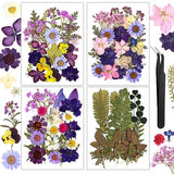 Resiners 100Pcs Dried Pressed Flowers for Resin Molds, Purple Real Pressed Flowers Dry Leaves Kit for Art Crafts Resin Jewelry Making Scrapbook Resiners