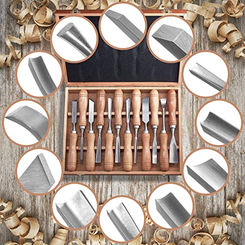 SELFIE CAT 12-piece chisel set in wooden box Carving set for carving Wood chisel set Notch carving set Chisel set Carving tool set ideal carving