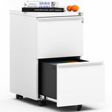 BIZOEIRON 2 Drawer Mobile File Cabinet,Under Desk Metal Filing Cabinet with Lock and Wheels,Rolling File Cabinet for Home Office Legal/Letter/A4 File BIZOEIRON