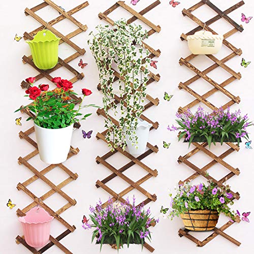 Iceyyyy Wood Lattice Wall Planter - Expandable Hanging Wooden Planter Trellis Frame, Indoor Air Plant Vertical Rack Wall Decor for Room Garden Iceyyyy