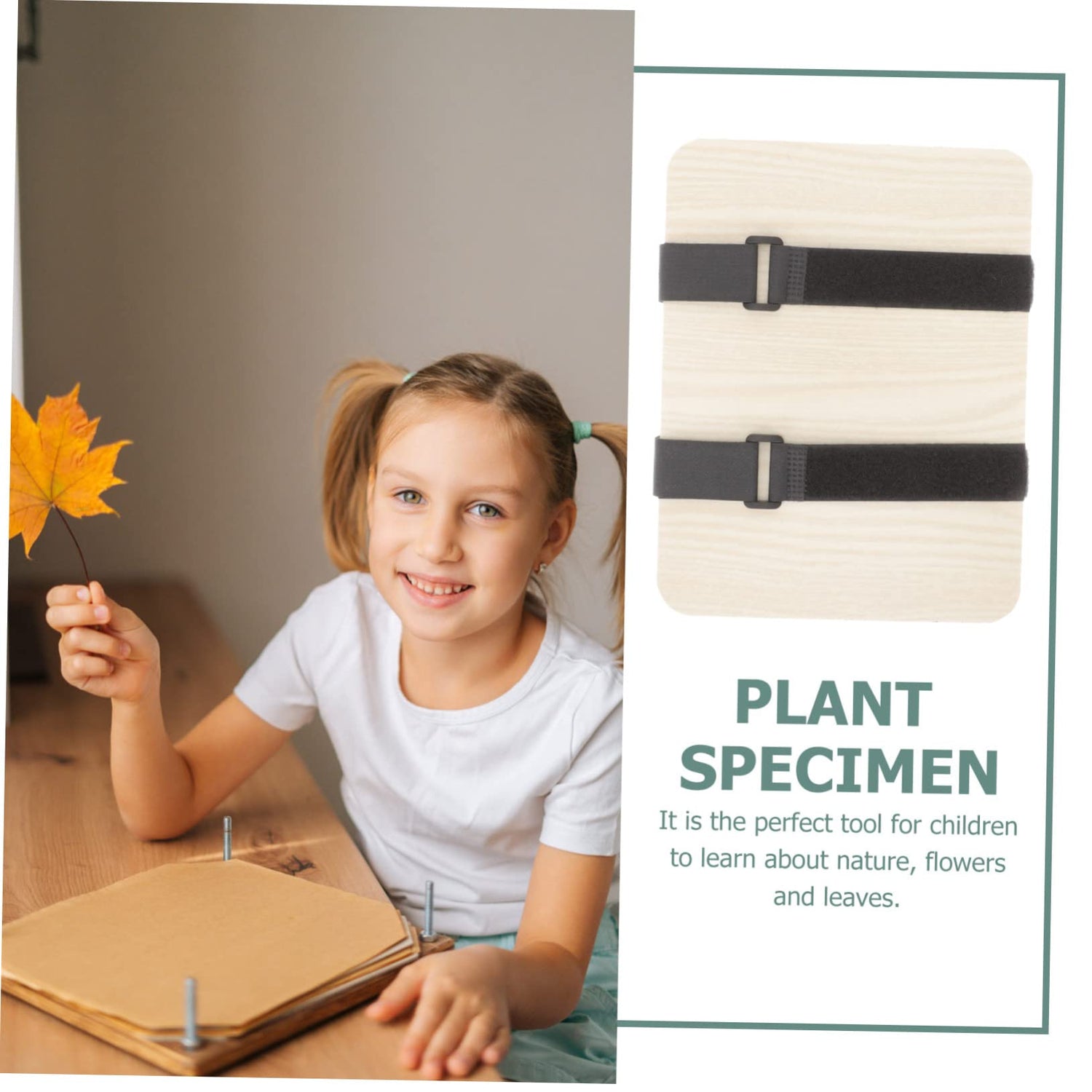 KONTONTY 1 Set Flower Pressing Drying Kit Flower Press Tool Plant Press Tool Flower and Leaf Press Kit Professional Flower Press Kit Dried Flower KONTONTY