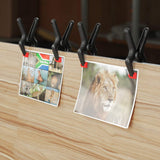 WORKPRO 16-Piece Nylon Spring Clamp Set-4pc 6-1/2", 6pc 4-1/2" , 6pc 3-3/8", for Woodworking, Photography Studios and DIY Works, Black WORKPRO