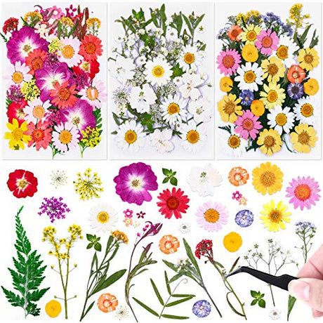 120 PCS Dried Flowers for Resin Molds, Natural Pressed Flowers Leaves Herbs kit with Tweezers for DIY Art Crafts, Candle,Jewelry Making, Scrapbook Cruzix