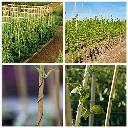 Mininfa Natural Bamboo Stakes 4 Feet, Eco-Friendly Garden Stakes, Plant Stakes Supports Climbing for Tomatoes, Trees, Beans, 25 Pack - WoodArtSupply