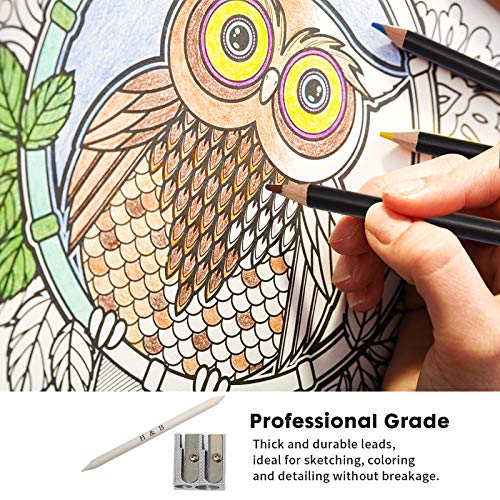 YBLANDEG Sketching and Drawing Colored Pencils Set 96-Pieces,Art Supplies Painting Graphite Professional Art Pencils Kit,Gifts for Teens & Adults YBLANDEG
