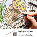 YBLANDEG Sketching and Drawing Colored Pencils Set 96-Pieces,Art Supplies Painting Graphite Professional Art Pencils Kit,Gifts for Teens & Adults YBLANDEG