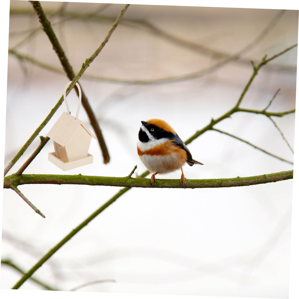 Yardwe 3pcs Wooden Bird Feeder Hanging Bird House Outdoor Bird House Unfinished Wooden Birdhouse Wooden Birdhouses to Paint Outside Bird Feeder Yardwe