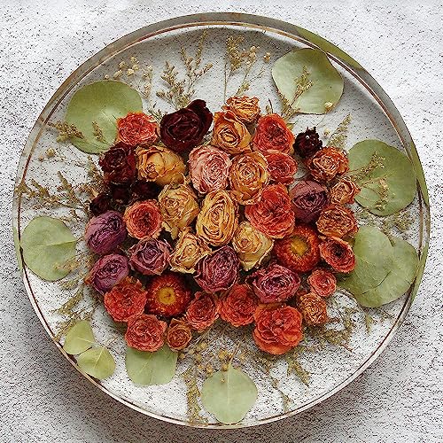 RESINWORLD 12'X2'' Deep Large Round Tray Mold + Set of 4", 3", 2", 1.5", 1", 0.5" Clear Silicone Cube Molds ResinWorld