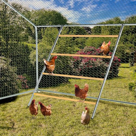 BESBLEE Chicken Coop Roosting Perch Essentials：Perfect for Backyard Poultry, Easy Installation &,Farm Roost Toys for Chickens (55' L x 40' W) BESBLEE