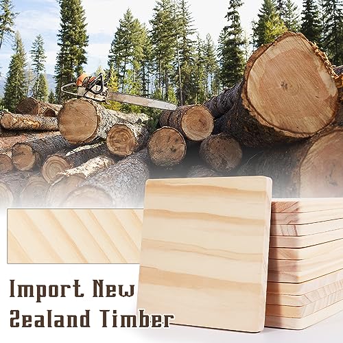 12 Pack Unfinished Wood Coasters, GOH DODD 5 Inch Wooden Coasters Crafts Blanks for DIY Drawing Painting Laser Engraving Wood Burning, Square GOH DODD