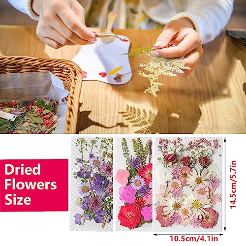 GUTLIVTAG Dried Pressed Flowers, 94PCS Natural Colorful Pressed Flower –  WoodArtSupply