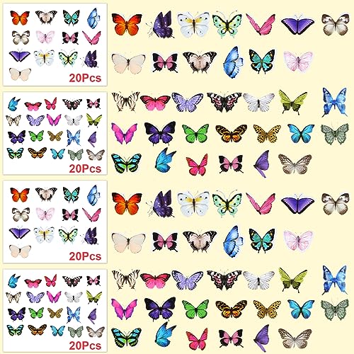Fabbay 712 Pcs Dried Pressed for Resin with Tweezer Flowers Leaves Butterfly Stickers Dry Flowers Leaves Bulk Natural Dried Flower Scrapbook Fabbay