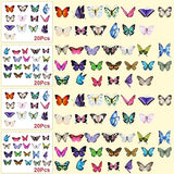 Fabbay 712 Pcs Dried Pressed for Resin with Tweezer Flowers Leaves Butterfly Stickers Dry Flowers Leaves Bulk Natural Dried Flower Scrapbook Fabbay