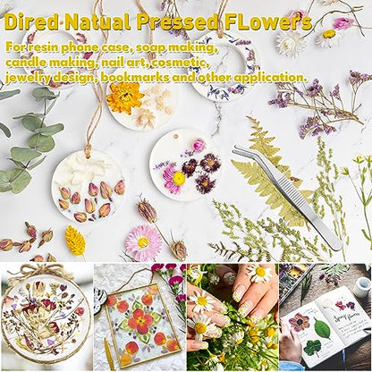 Fabbay 712 Pcs Dried Pressed for Resin with Tweezer Flowers Leaves Butterfly Stickers Dry Flowers Leaves Bulk Natural Dried Flower Scrapbook - WoodArtSupply