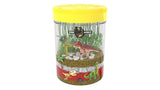 Dino World Terrarium Kit for Kids - LED Light in Lid - Dinosaur Toys for Boys & Girls Age 3, 4, 5, 6, 7, 8+ Year Old Boy and Girl Gifts - Dinosaur Dan&Darci