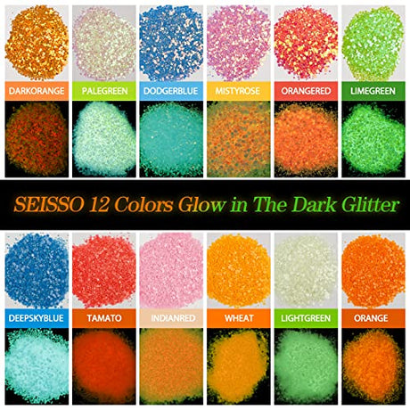 Glow in The Dark Glitter, SEISSO 12 Bottles Luminous Glitter with UV Flashlight Set, 10g/Bottle Chunky Glitter Powder for Resin Arts Crafts, Body SEISSO