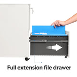 DEVAISE 2-Drawer Mobile File Cabinet with Lock, Commercial Vertical Cabinet in White DEVAISE