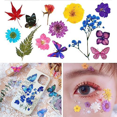 Dried Pressed Flowers Mixed Box for Resin Random, with 1 Tweezers, Real Natural Dry Mixed Flowers Leaves Bulk Herbs Kit for Scrapbooking DIY Art - WoodArtSupply