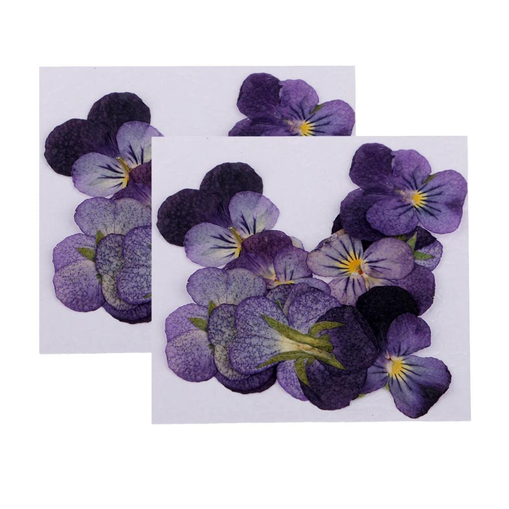 LoveinDIY 24Pcs Natural Pressed Dried Flowers Pressed Violet for Epoxy Resin Pendant Jewelry Making - WoodArtSupply