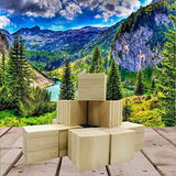 Fycooler Basswood Carving Blocks BW 12 pcs Whittling Wood Carving Blocks Basswood for Carving Wood for Whittling Kit Wood Blocks for Carving Bass Fycooler