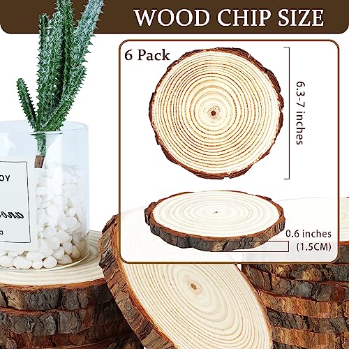 FSWCCK 24 PCS Wood Slices Bulk, 4-4.7 Inch Unfinished Natural with Tree  Barks Rustic Wedding Centerpiece Disc, Craft Wood Pieces for Circles Craft