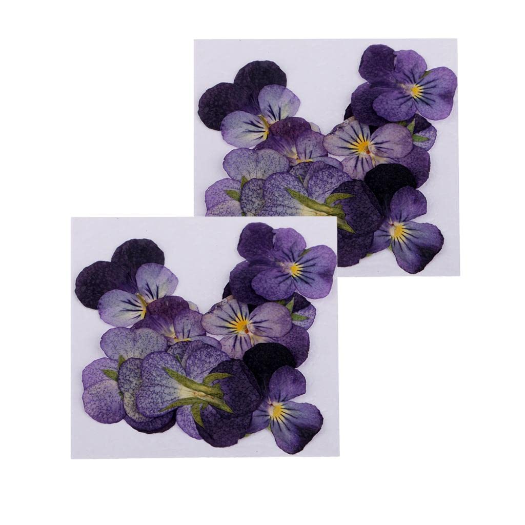 LoveinDIY 24Pcs Natural Pressed Dried Flowers Pressed Violet for Epoxy Resin Pendant Jewelry Making - WoodArtSupply