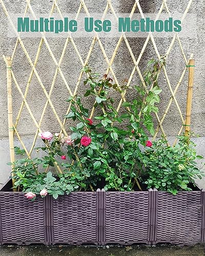 Moromyse 25 Pcs 4 Ft Bamboo Garden Stakes with 100 Ties Natural Bamboo Plant Stakes for Tomatoes Cucumber Grapes Pole Beans Trees Potted Dahlia Moromyse