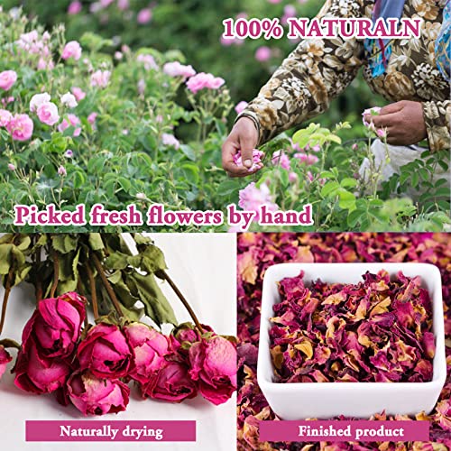 SACATR Dried Flowers, 50 Bags 100% Natural Dried Herbs Kit for Soap Making, Candle, Resin Jewelry Making, Bath, Nail - Include Rose Petals, Rosebuds, SACATR