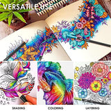 iBayam 123-Pack Colored Pencils Set with Gift Case, 3-Color Sketch Pad, Coloring Book, Professional Artist Drawing Pencils Kit Art Supplies for iBayam