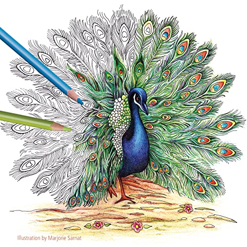 Staedtler Colored Pencils, Triangular Barrel, 4mm, 72 Pieces (1278CM72A6) STAEDTLER