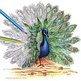 Staedtler Colored Pencils, Triangular Barrel, 4mm, 72 Pieces (1278CM72A6) STAEDTLER