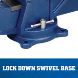 Wilton 6" General Purpose Bench Vise, 5" Max Jaw Opening, 3" Throat (11106) Wilton