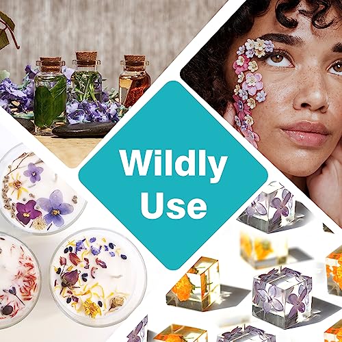 Resiners 100Pcs Dried Pressed Flowers for Resin Molds, Purple Real Pressed Flowers Dry Leaves Kit for Art Crafts Resin Jewelry Making Scrapbook Resiners