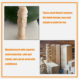 VILLCASE Unfinished Wooden Block :10pcs Whittling Wood Carving Blocks Basswood for Carving Unfinished for Crafts Wooden Block Set Bass Wood for Wood VILLCASE
