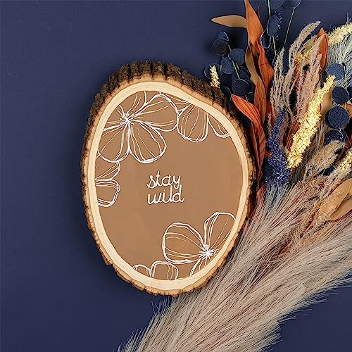 Walnut Hollow Rustic Basswood Round, Medium 7-9" Wide with Live Edge Wood (Pack of 3) - for Wood Burning, Home Décor, and Rustic Weddings - WoodArtSupply