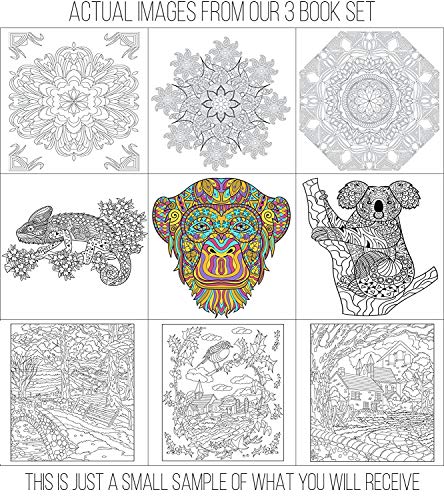 Adult Coloring Books Set - 3 for Grownups 120 Unique Animals, Scenery & Mandalas Designs. Adults Relaxation. Creatively Calm Studios