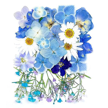 26 Pcs Blue White Colors Dried Pressed Flowers for Resin,Real Pressed Flowers Dry Leaves Bulk Natural Herbs Kit for Scrapbooking DIY Art Crafts, Blaflo
