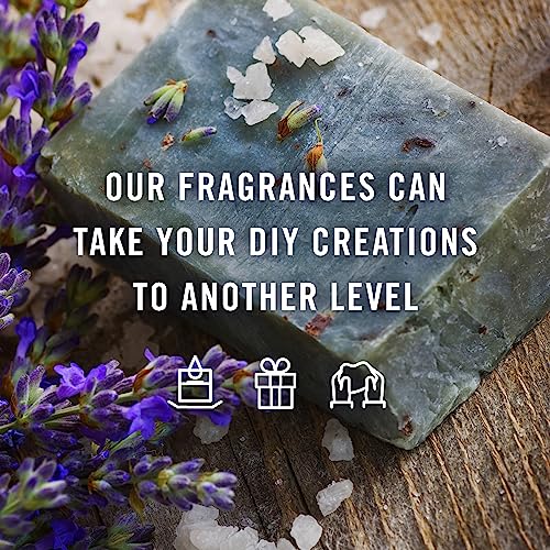 P&J Fragrance Oil Dad's Set | Bay Rum, Sweet Tobacco, Bacon, Coffee, Clove, Fresh Cut Wood Candle Scents for Candle Making, Freshie Scents, Soap P&J Trading