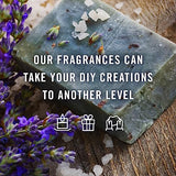 P&J Fragrance Oil Cookies & Cakes Set | Candle Scents for Candle Making, Freshie Scents, Soap Making Supplies, Diffuser Oil Scents P&J Trading